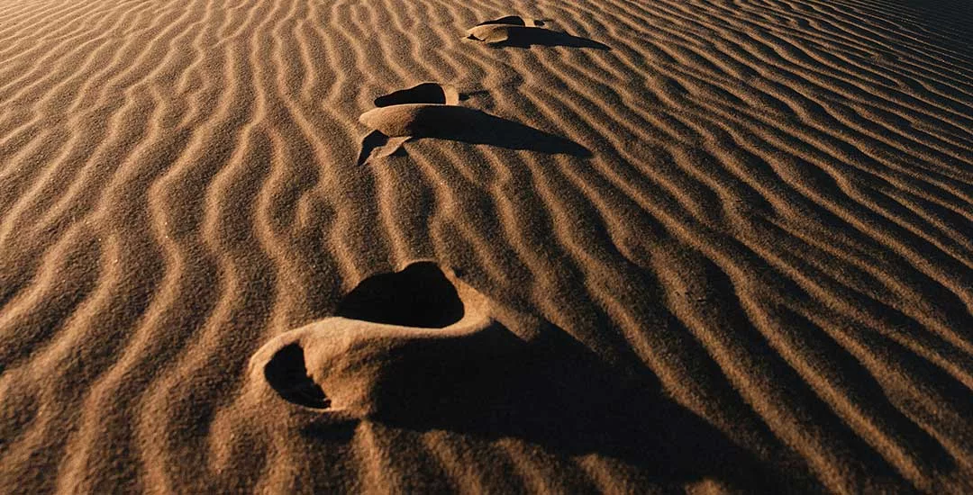 close up of a set of footprints walking up a sand dune