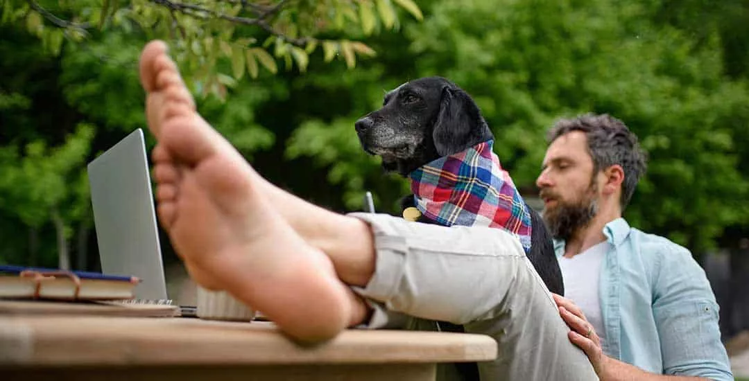 middle aged man sitting at an outside table with his laptop with his feet up on the table and his little black dog wearing a Dog Bandana in tartan fabric