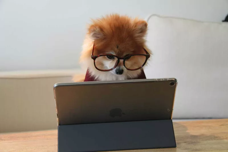 2024/25 UK Tax Return Season Is Open