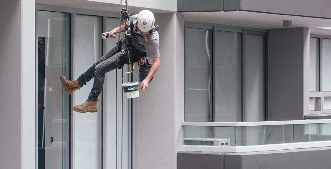 painter wearing black jeans, grey t-shirt and white hard hat suspended from a abseil painting the outside of a tall apartment block