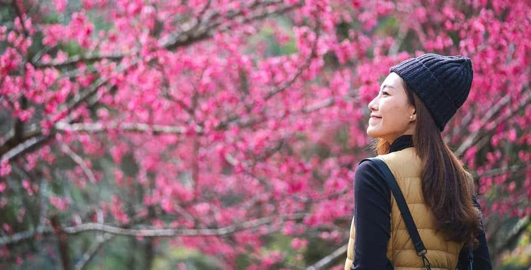 woman with long dark hair wearing a blue woollen hat and brown sleeveless puffer jacket smiling while surrounded by trees in bright pink blossom 