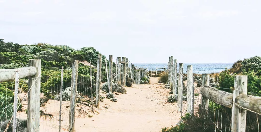 walkway down to Australian beach
