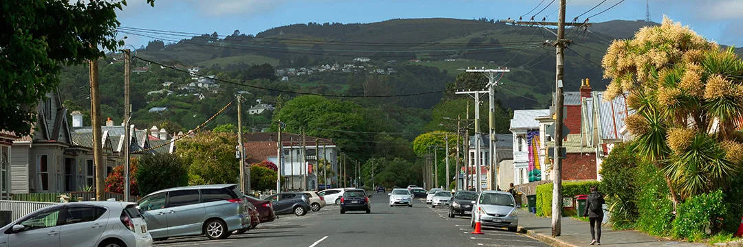image of a typical New Zealand town street lined with houses