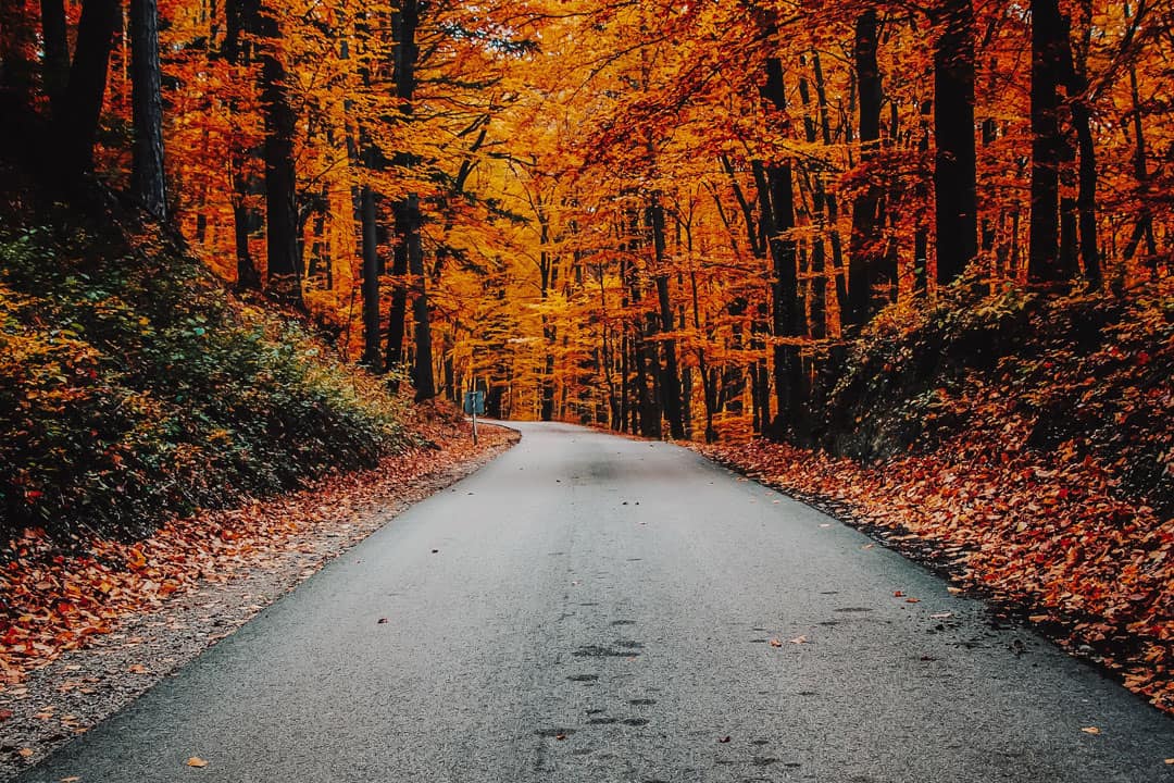 Autumn road depicting the Autumn Statement and the long road ahead