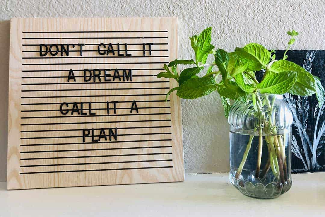 Inspirational quote board with 'Don't call it a dream, call it a plan' beside a jar of fresh mint cuttings on a minimalist indoor shelf.
